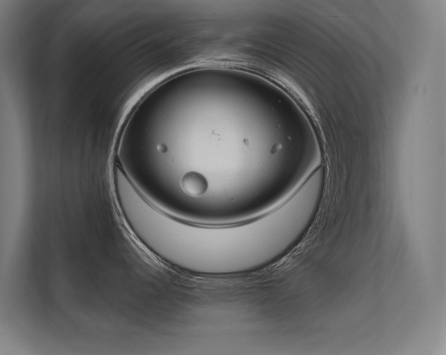 X0000112001344200908101314