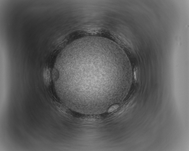 X0000112001347200908101314