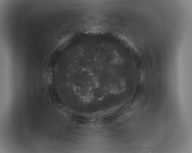 X0000112001350200908101314