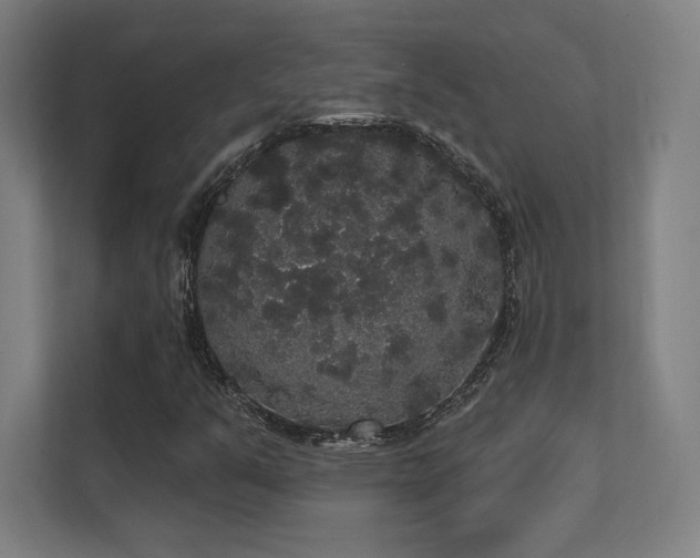 X0000112001351200908101314