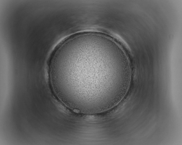 X0000112001360200908101314