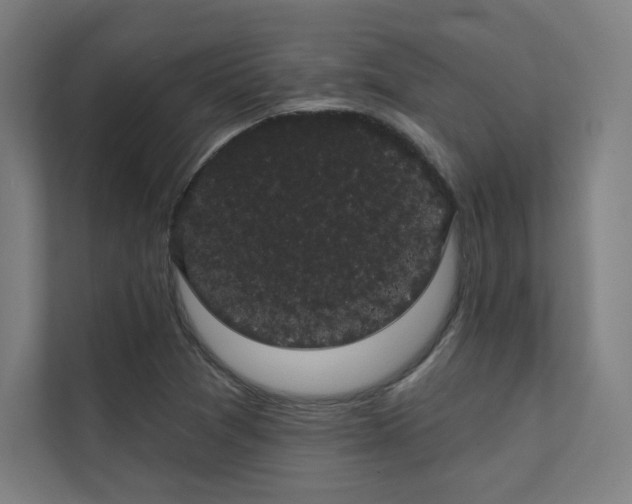 X0000112001361200908101314