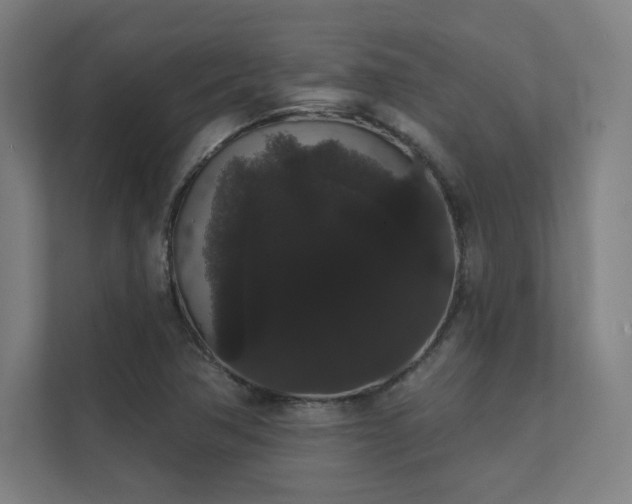 X0000112001362200908101313