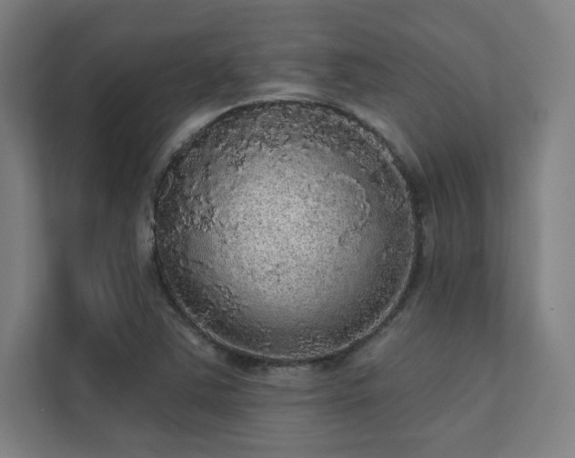 X0000112001363200908101313