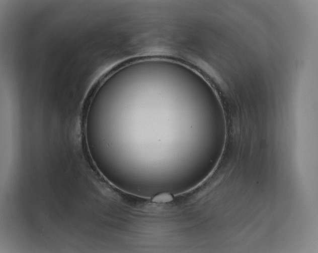 X0000112001364200908101313