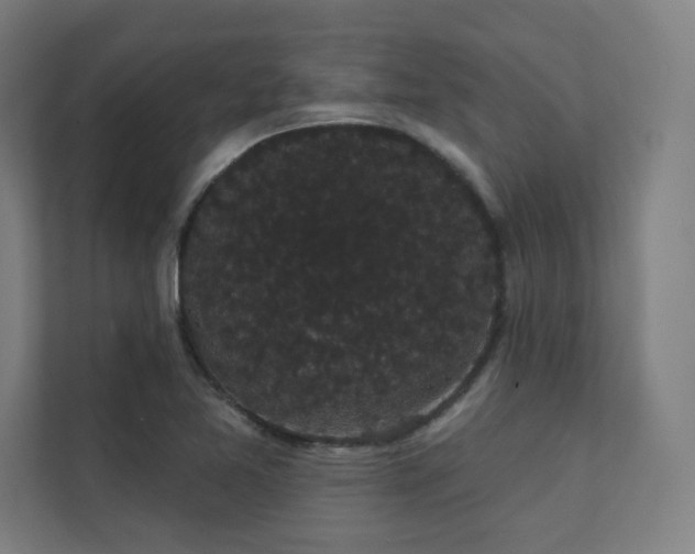 X0000112001365200908101313