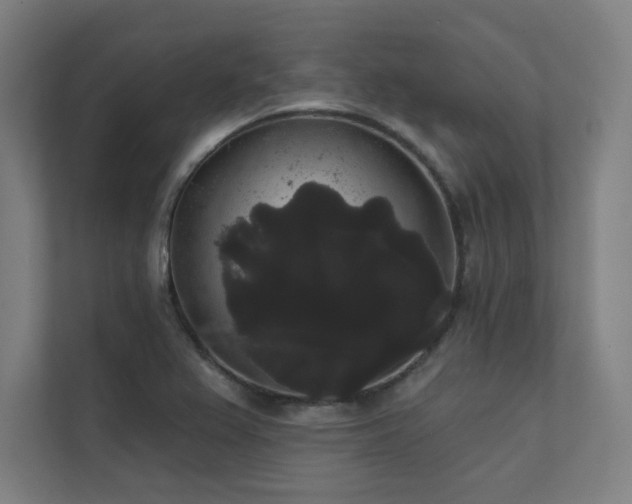 X0000112001367200908101313