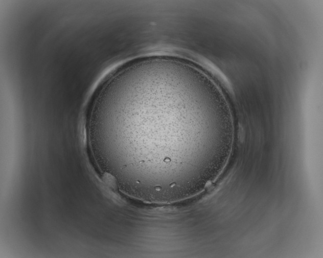 X0000112001368200908101313