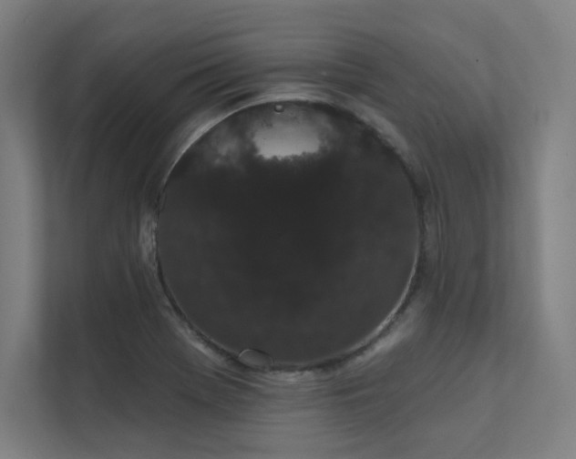 X0000112001369200908101313