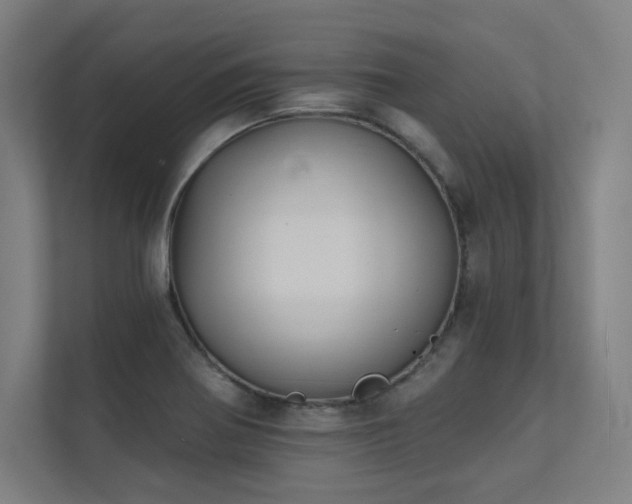 X0000112001370200908101313