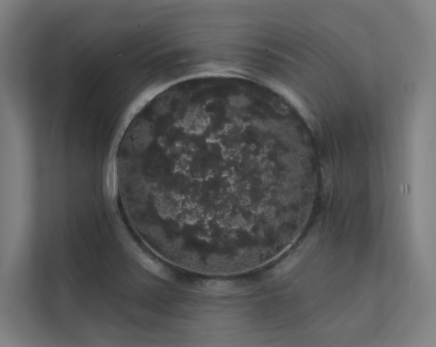 X0000112001371200908101313