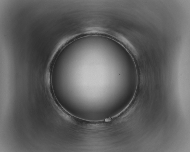 X0000112001376200908101313