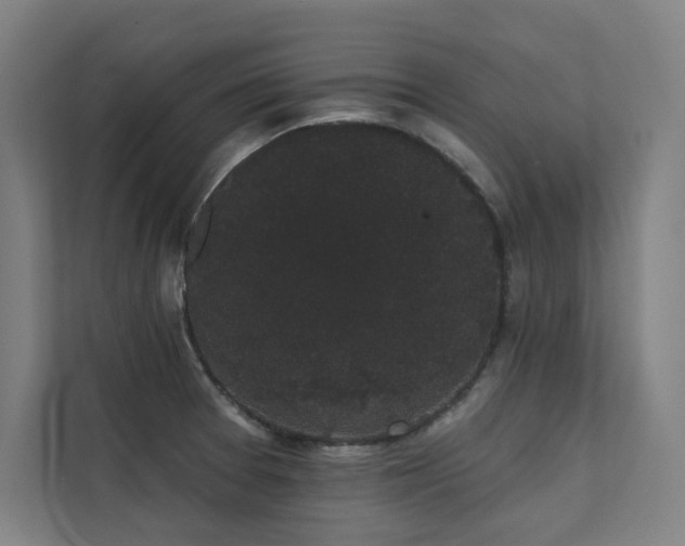 X0000112001377200908101313