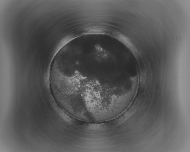 X0000112001378200908101313