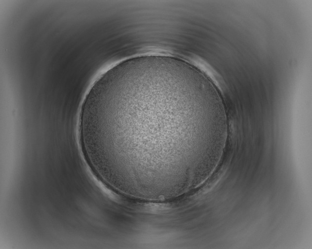 X0000112001379200908101313