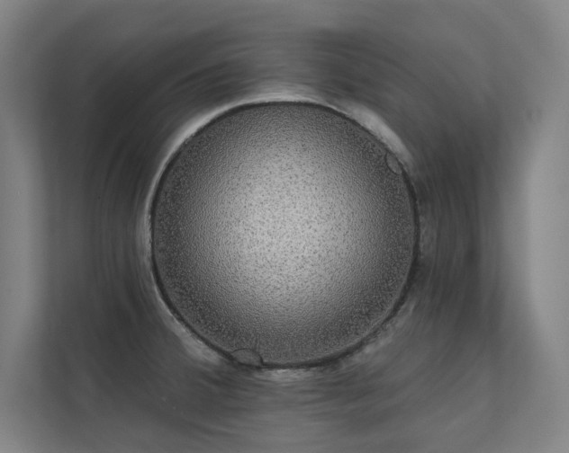 X0000112001380200908101313