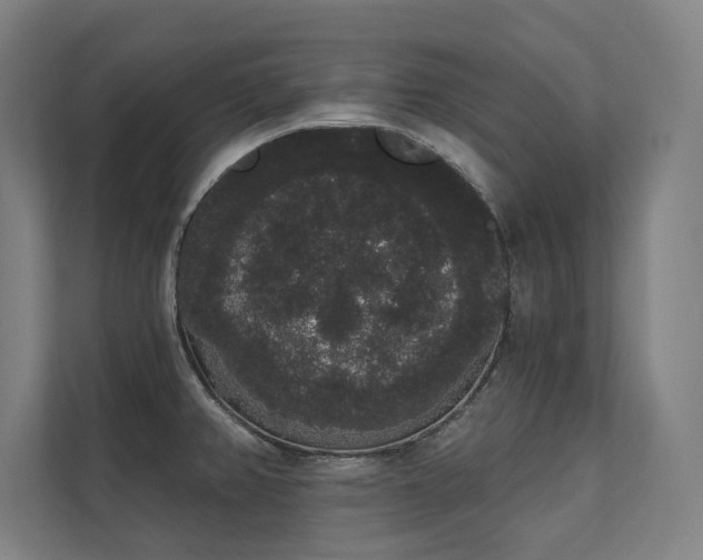 X0000112001382200908101313