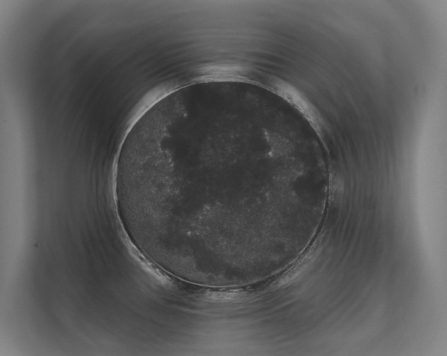 X0000112001386200908101313