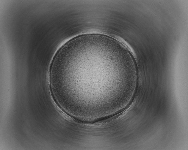 X0000112001388200908101313