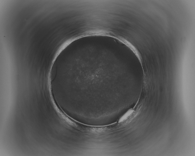 X0000112001389200908101313