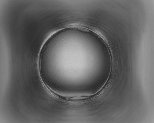 X0000112001392200908101313