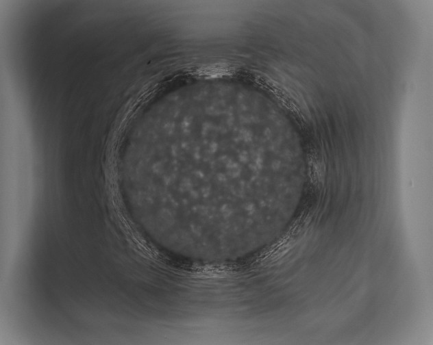 X0000112001393200908101312