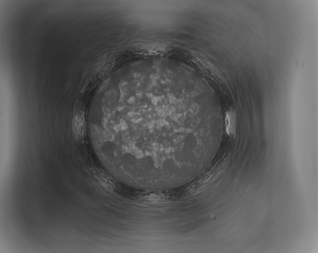 X0000112001395200908101313