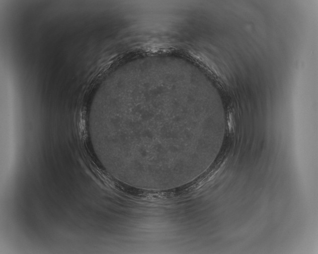 X0000112001396200908101313