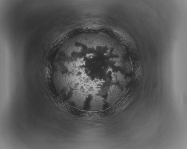 X0000112001397200908101313