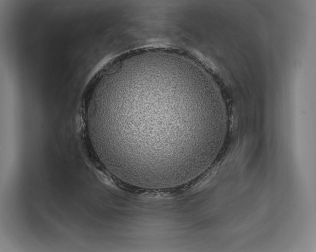 X0000112001400200908101313