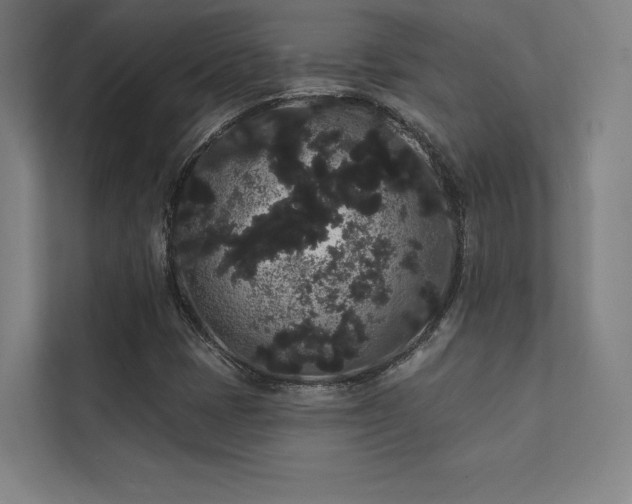 X0000112001401200908101313