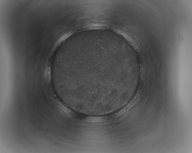 X0000112001402200908101313