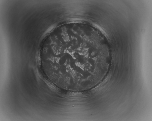 X0000112001403200908101313