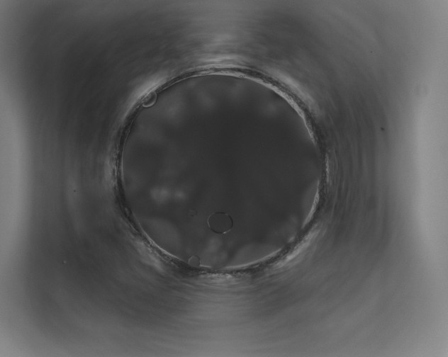 X0000112001405200908101313