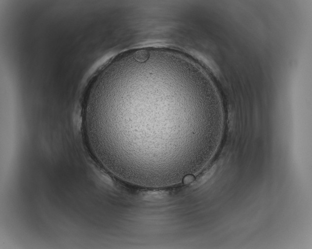 X0000112001406200908101313