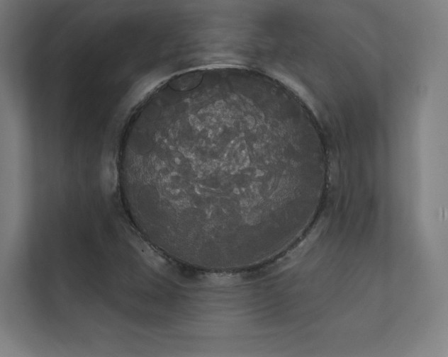 X0000112001407200908101313