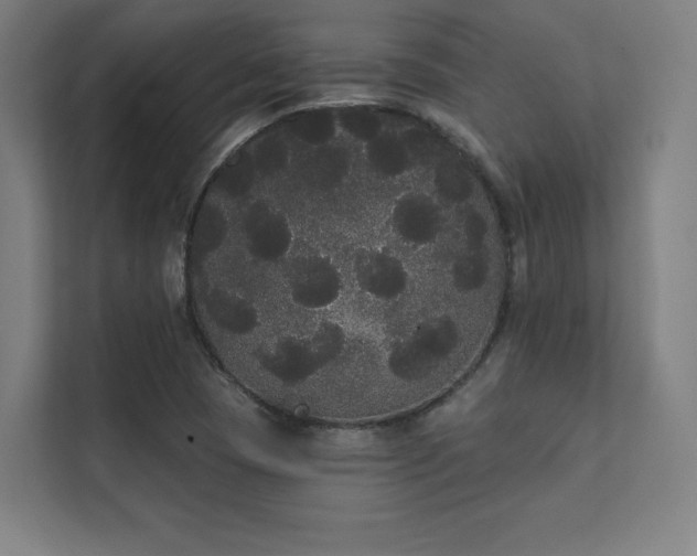 X0000112001409200908101313