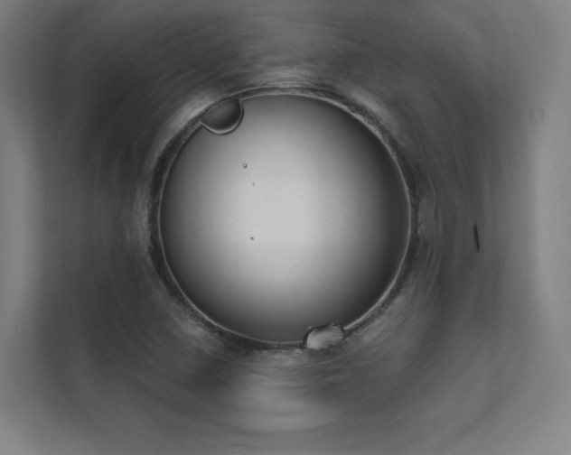 X0000112001410200908101313