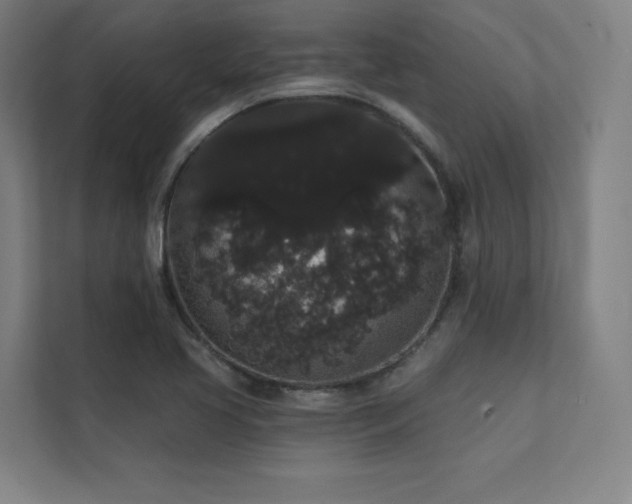 X0000112001413200908101313