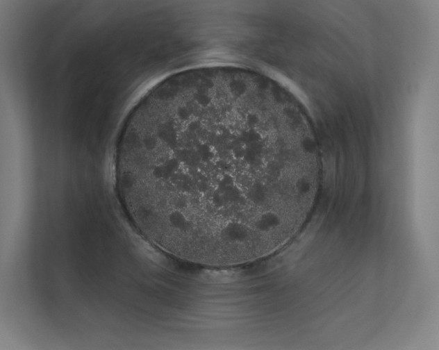 X0000112001415200908101313