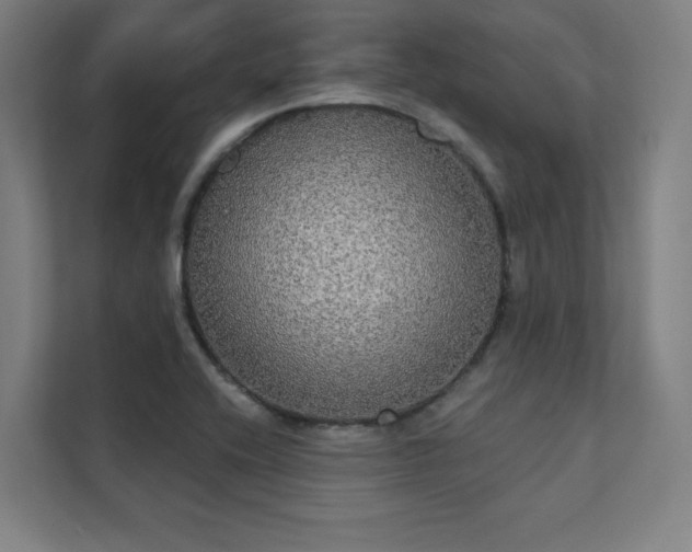 X0000112001416200908101313