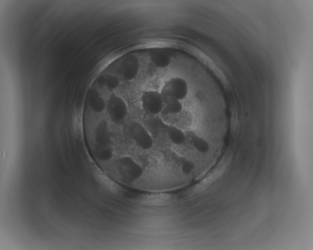 X0000112001417200908101313