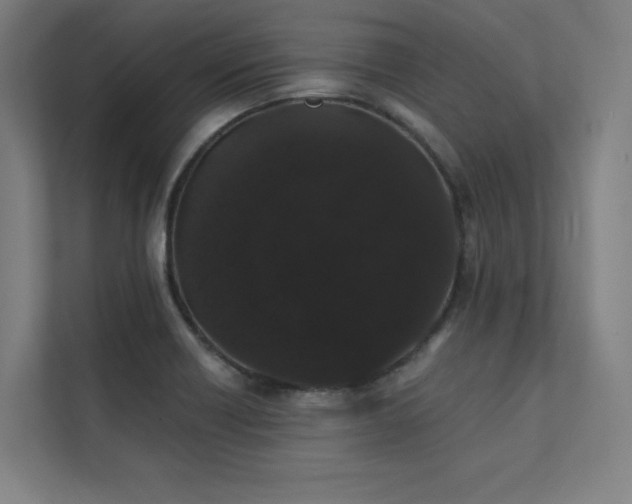 X0000112001418200908101313