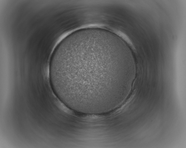 X0000112001420200908101313