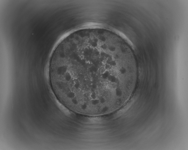 X0000112001421200908101313