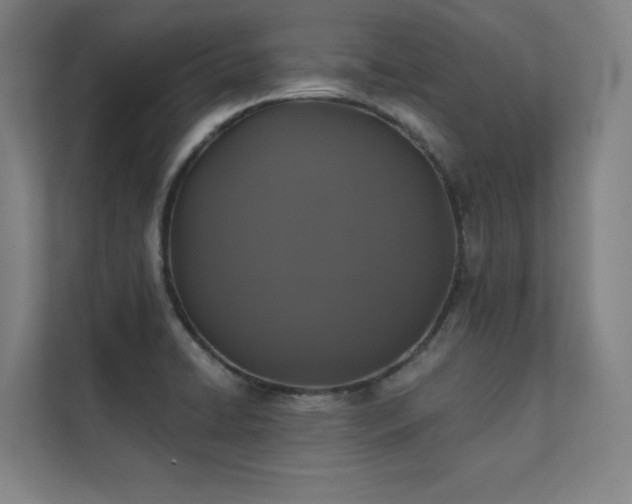 X0000112001422200908101313