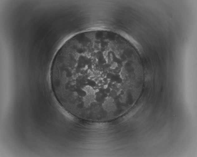 X0000112001423200908101313