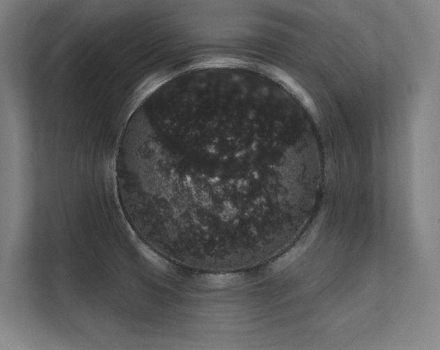 X0000112001425200908101313