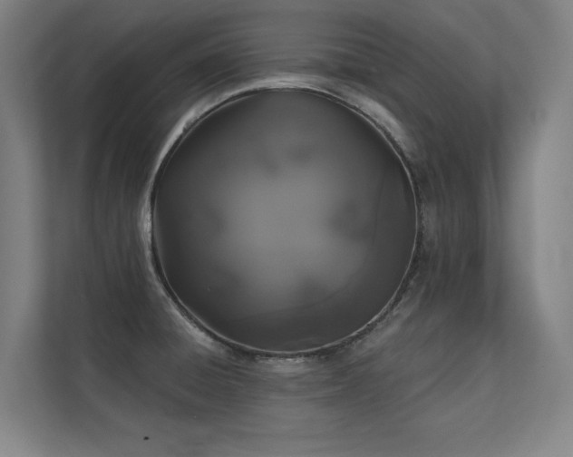 X0000112001428200908101313