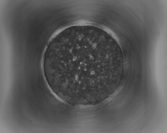 X0000112001429200908101313